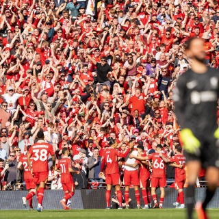 Fußball-Fans lösen Erdbeben aus - Richterskala | Warum grade Eichhörnchen von den Bäumen fallen (217)