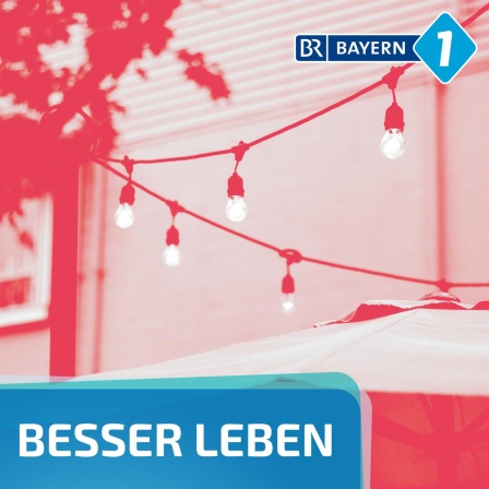 Was kann ich gegen Lichtverschmutzung tun?